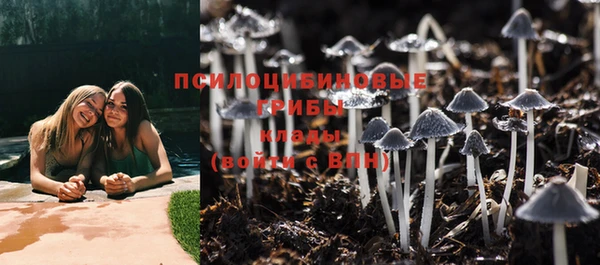 MESCALINE Переславль-Залесский