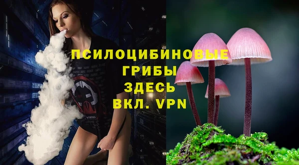 МДМА Пересвет